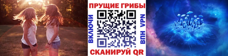нарко площадка клад  магазин    Пенза  Псилоцибиновые грибы мухоморы  kraken онион 