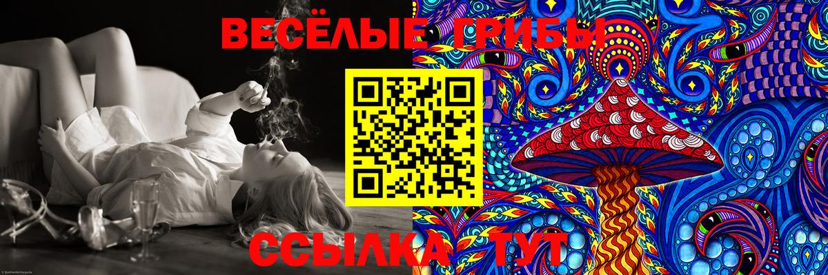 Бошки Шишки Пенза