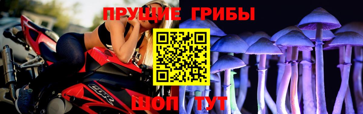Пенза  Галлюциногенные грибы мицелий  Псилоцибиновые грибы мухоморы  Вход с VPN 